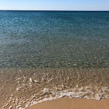 Magnifique Appartement Vue Mer Nabeul Bagian luar foto