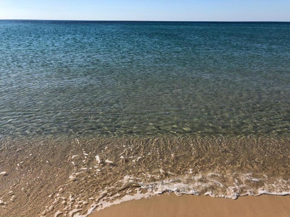 Magnifique Appartement Vue Mer Nabeul Bagian luar foto